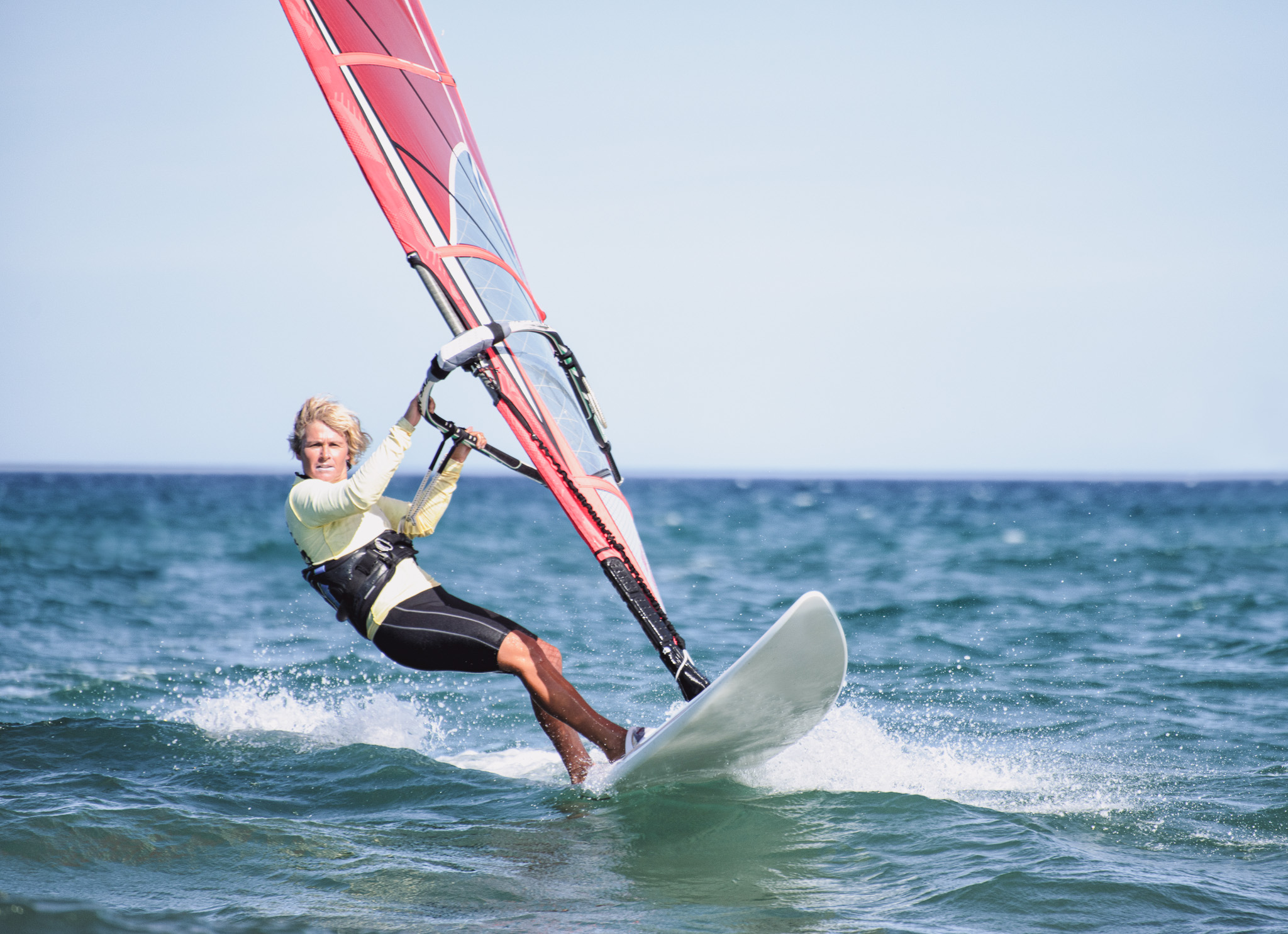 Windsurfer