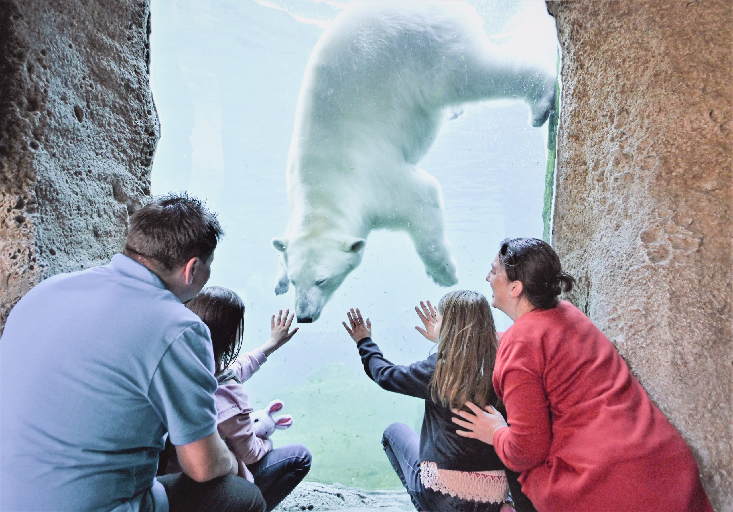 Familie vor einem Eisbären im Zoo am Meer in Bremerhaven