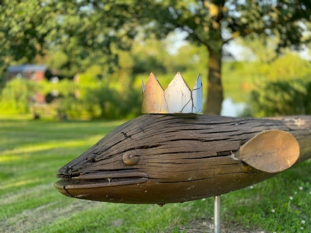 Aalkönig in Dorum-Neufeld