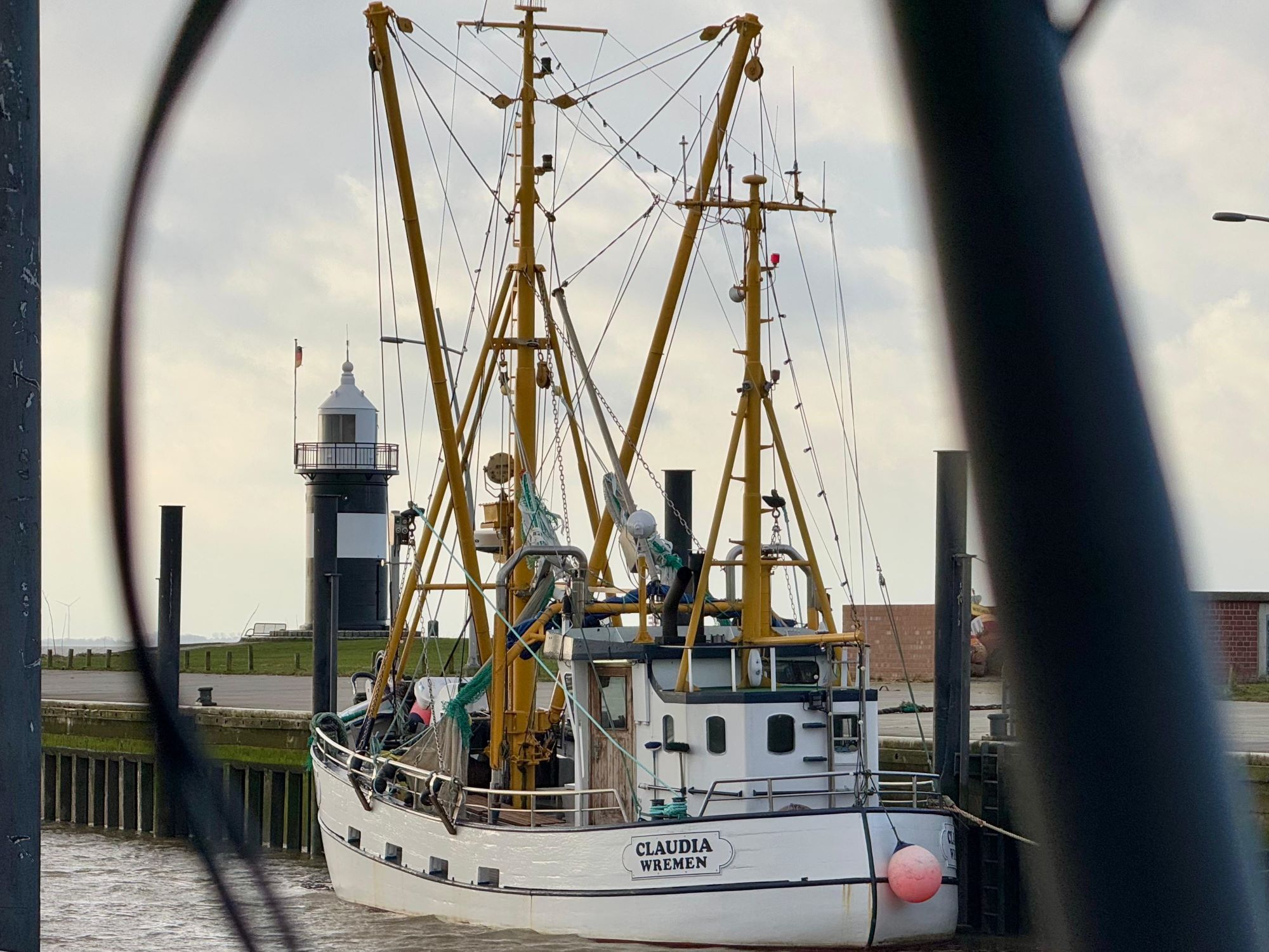Krabbenkutter im Hafen von Wremen
