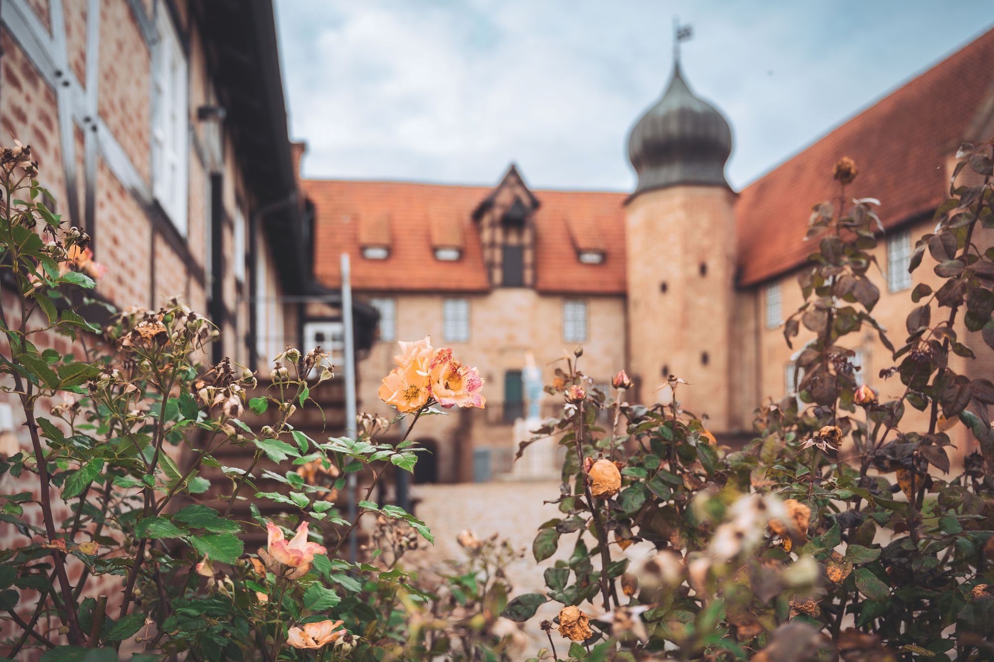 Rosen vor der Burg Bederkesa
