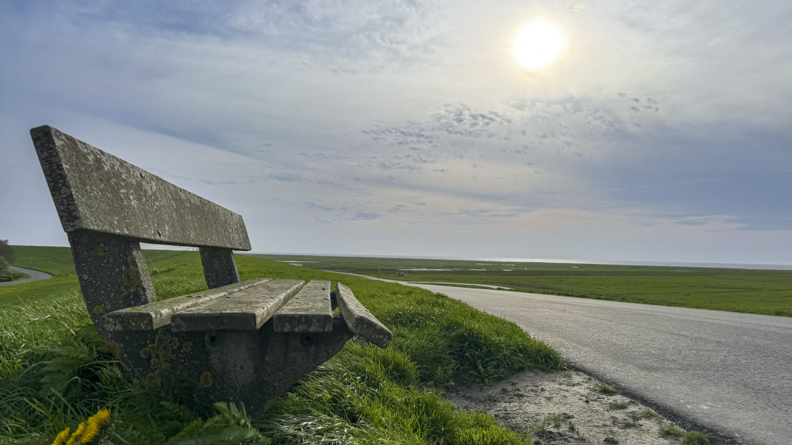 Deich in Cappel-Neufeld