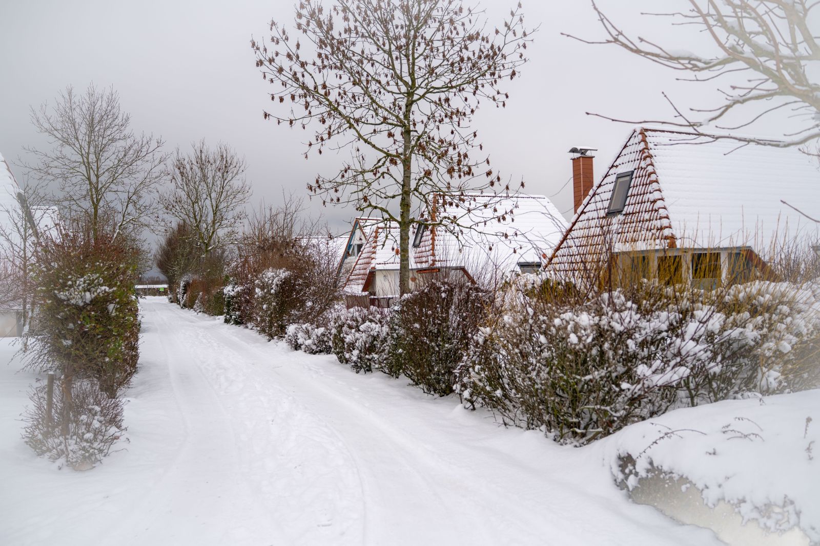 Ferienhäuser in Dorum-Neufeld im Schnee