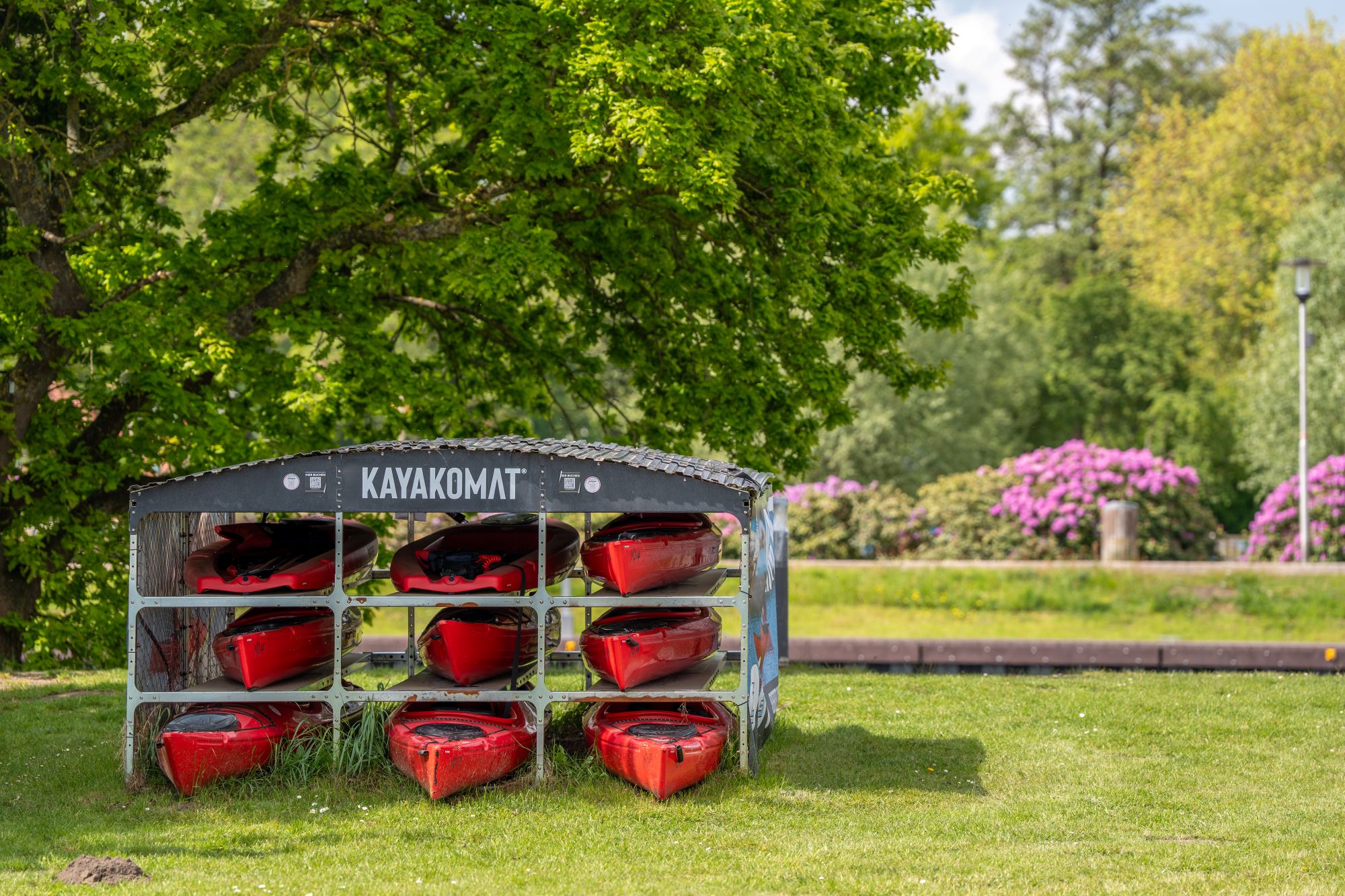 Kayaks auf einer Wiese
